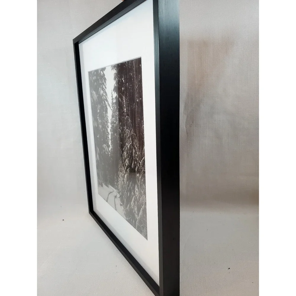 Set of 2‎ Modern Black Square Wall Frames w/ White Matting (11.5